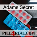 Adams Secret new14